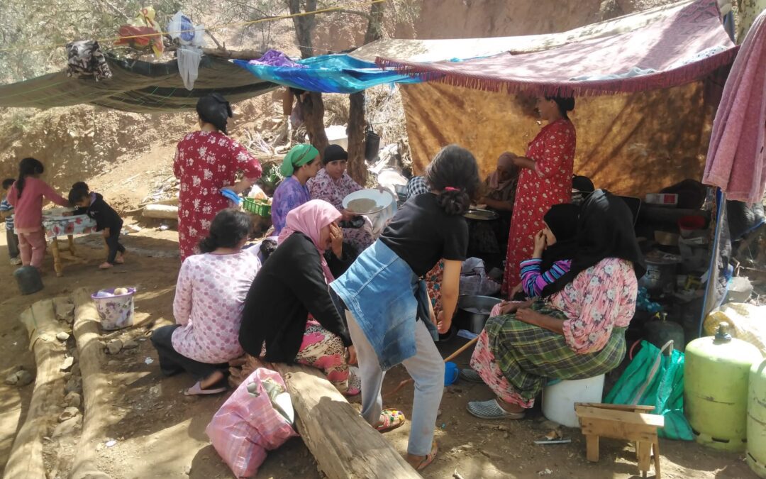 Humanitarian Needs Assessment